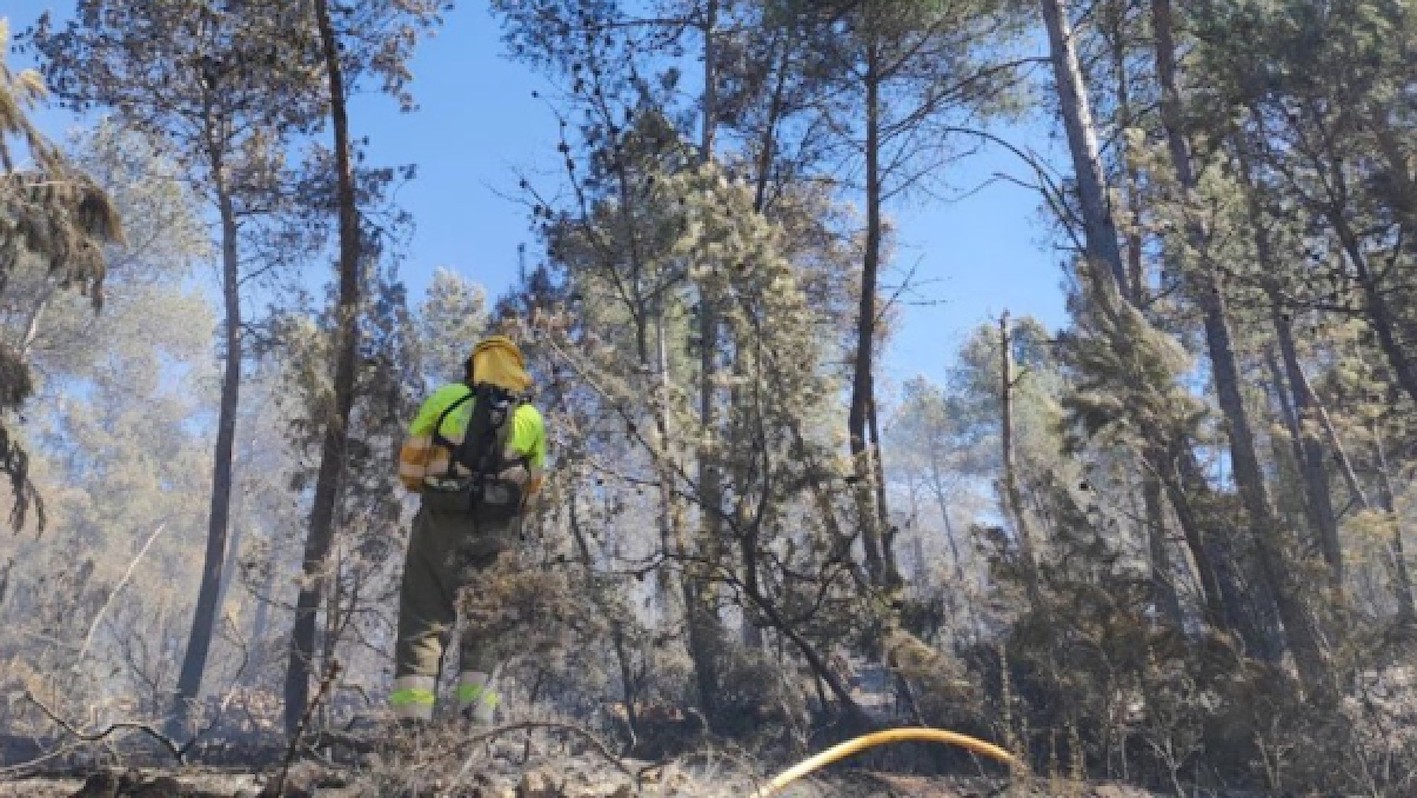 Un bombero forestal en el incendio de Castellón en imagen de Emergencies 112CV.