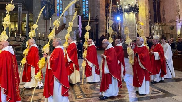 Domingo de Ramos.