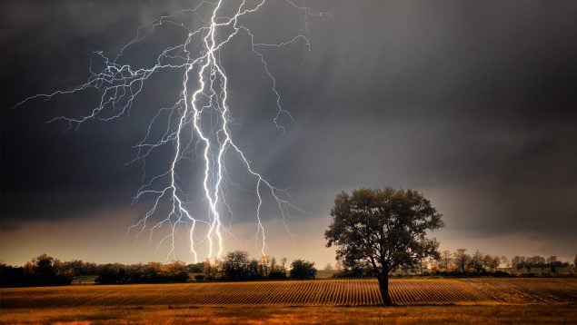 Mario Picazo tormenta