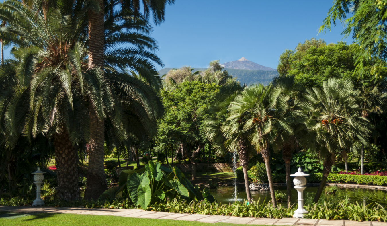 Jardines del Hotel Botánico & The Oriental Spa Garden