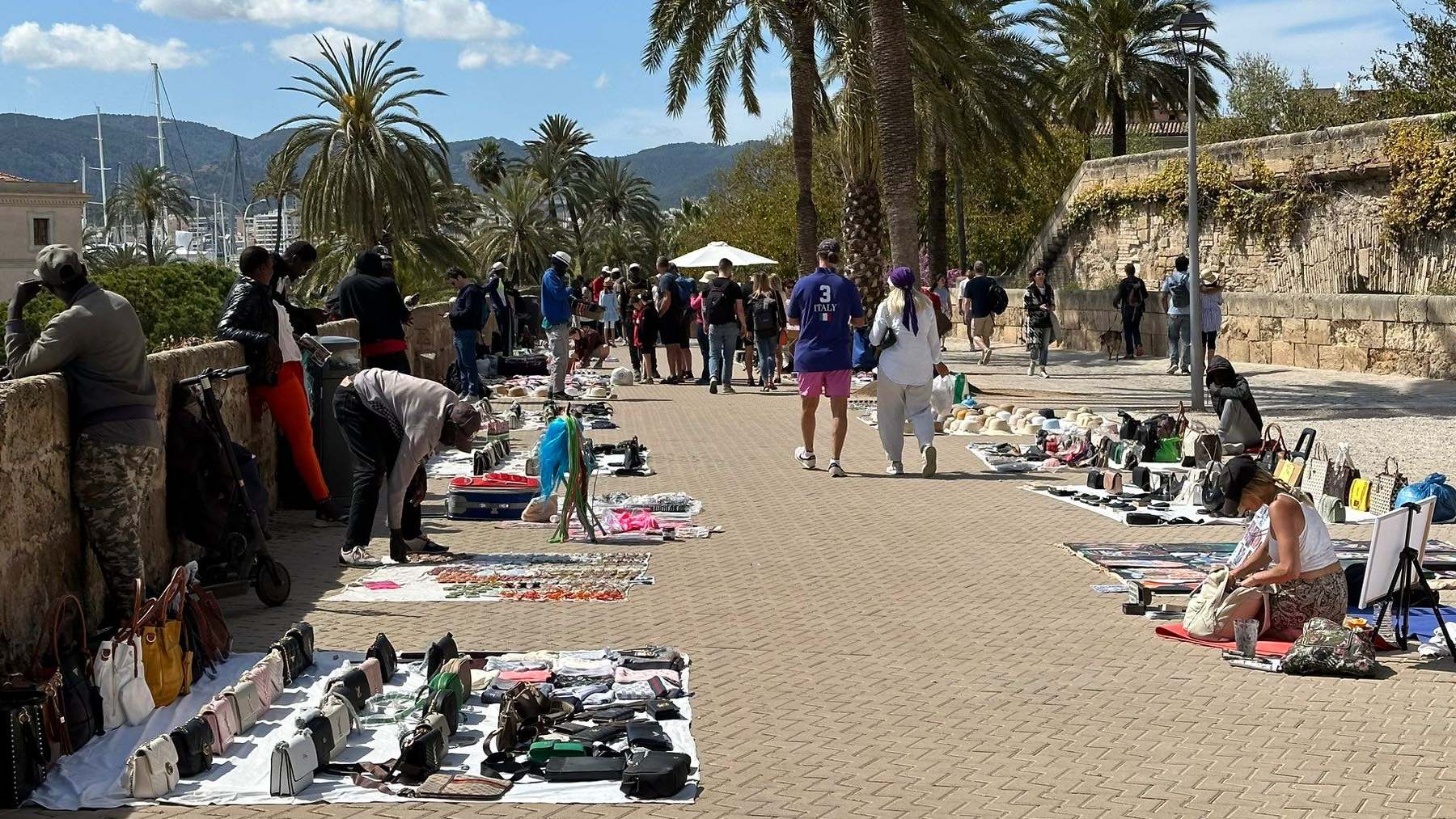 Imagen de los manteros en Dalt Murada, frente a la Catedral de Mallorca.