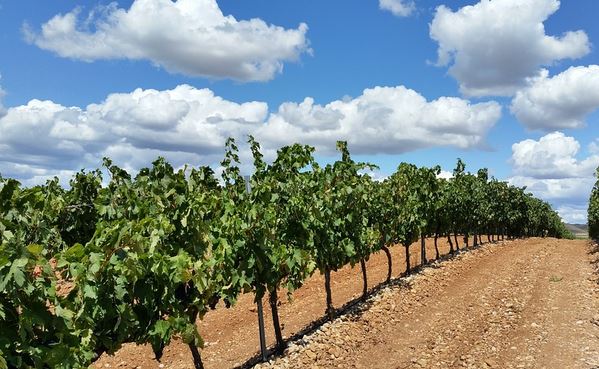 Esta es la región más acogedora del mundo: está en España
