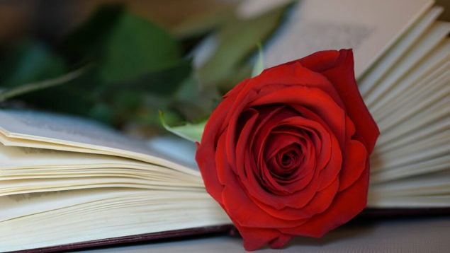 Sant Jordi