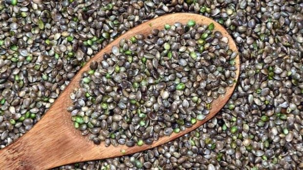 Tahini: te descubrimos el alimento con muchas propiedades y que no comes