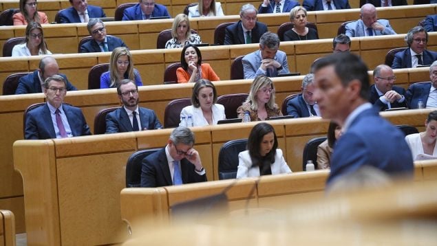 Belarra, en Sla primera bancada, escuchando el anuncio de Pedro Sánchez en el Senado. Foto: Europa Press