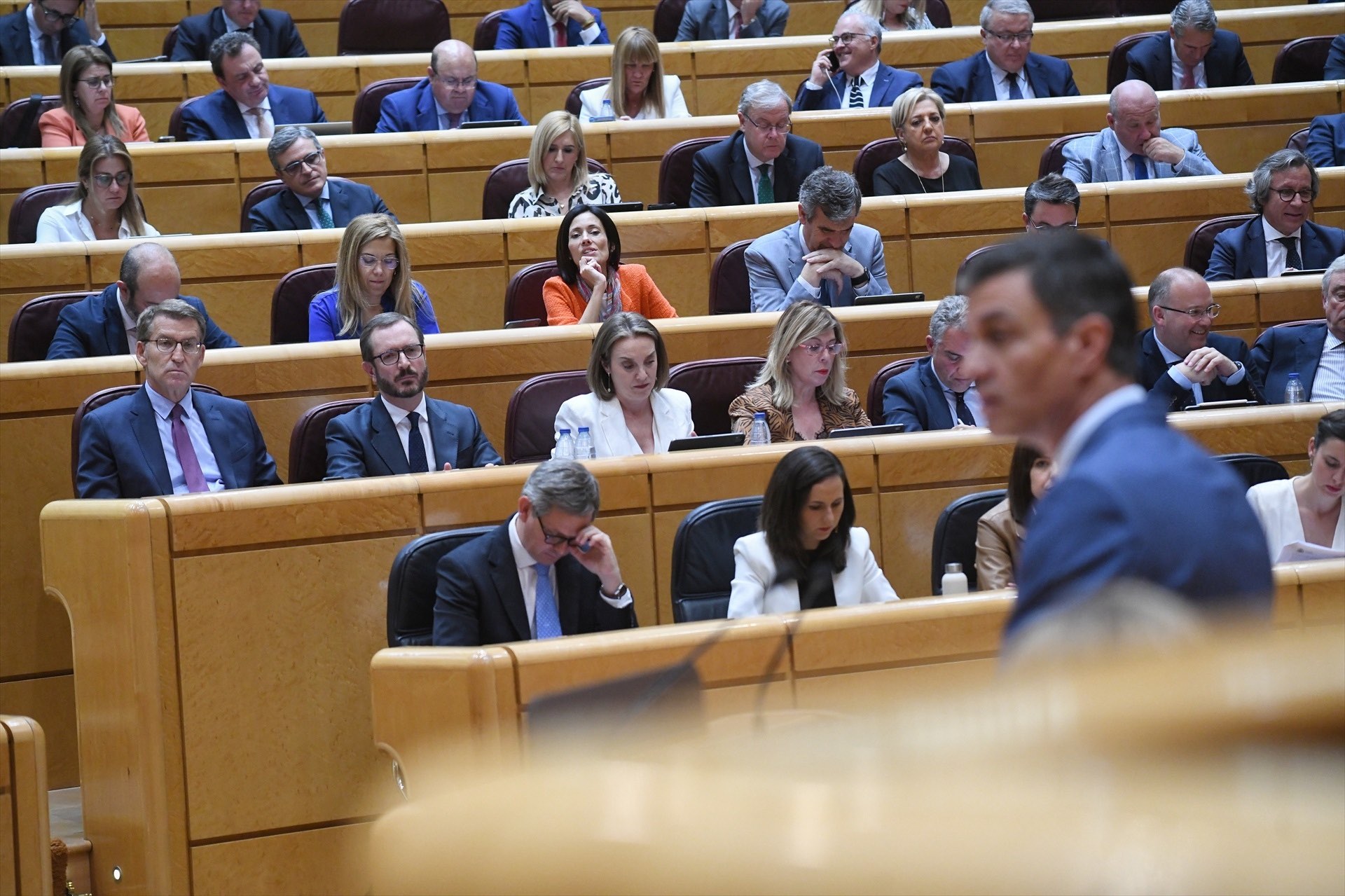 Belarra, en la primera bancada, escuchando el anuncio de Pedro Sánchez en el Senado. Foto: Europa Press