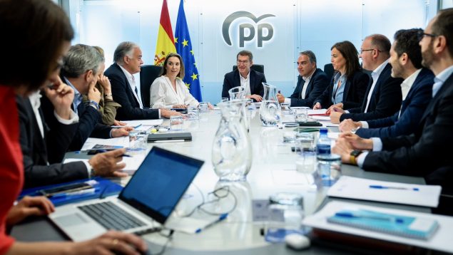 Comité de Dirección del PP.