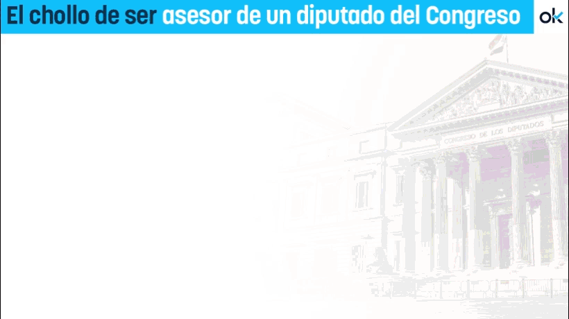 asesores diputados