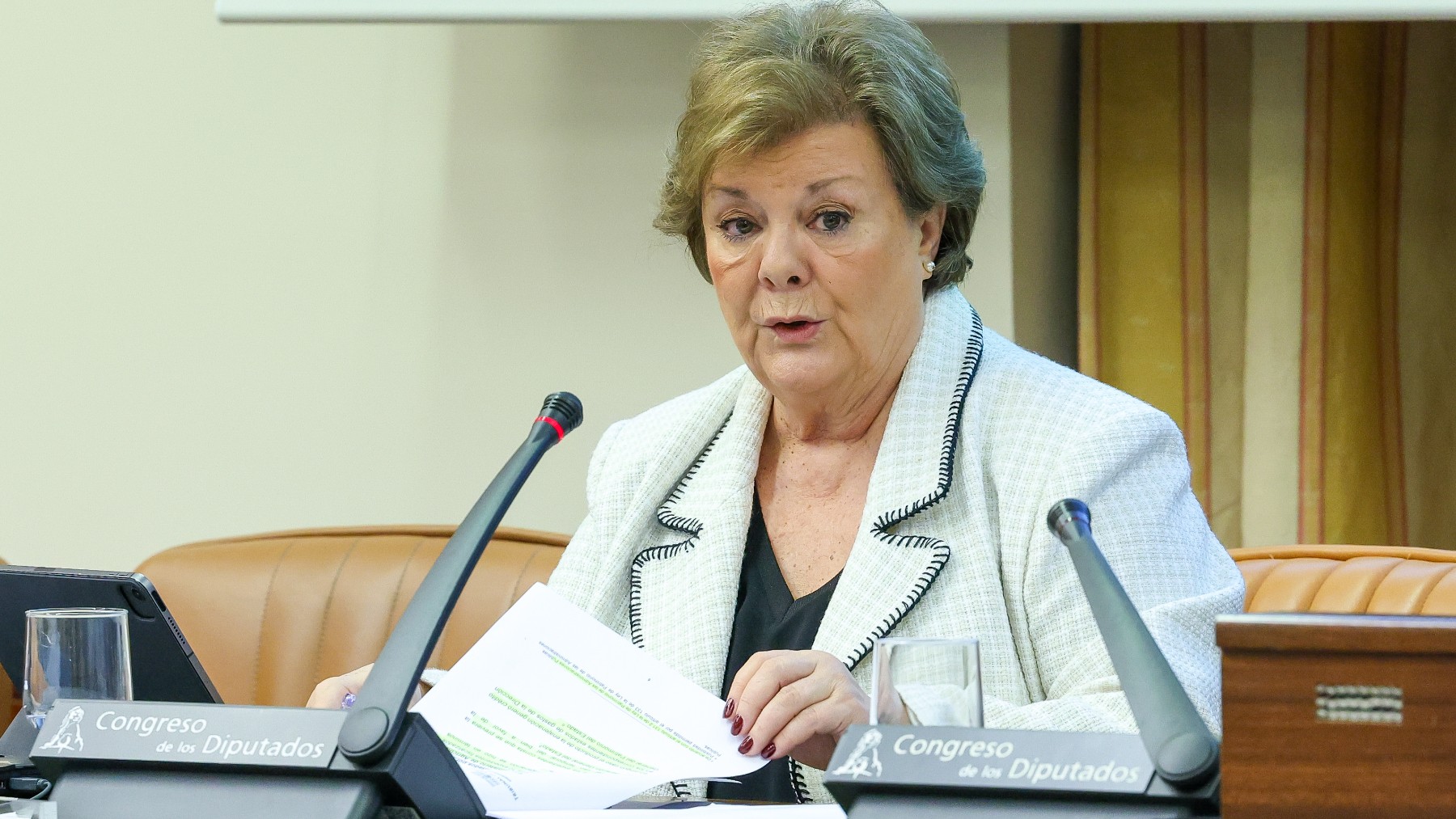 La presidenta del Tribunal de Cuentas, Enriqueta Chicano Jávega