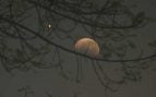 eclipse lunar