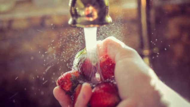 lavar las fresas
