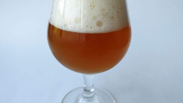 Cerveza casera