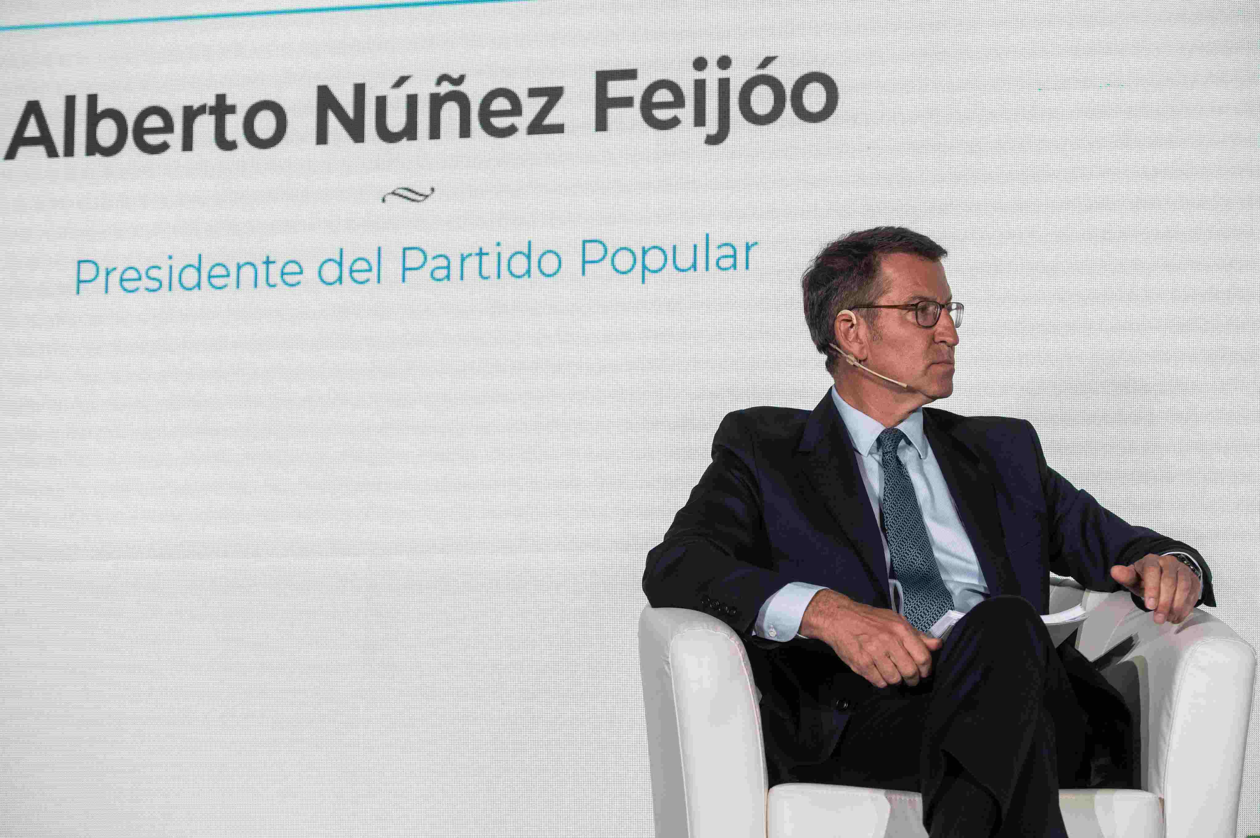 Alberto Núñez Feijóo (EFE)