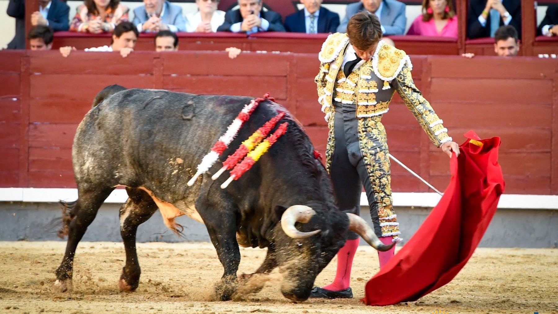 ¿cuánto Ganan Los Toreros En Tan Solo Una Tarde 