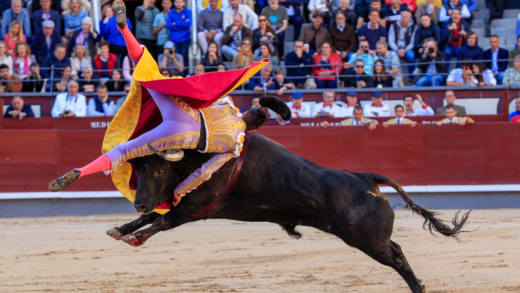 Ángel Téllez, cogido en su primer toro en Las Ventas (Foto: Efe – Zipi Aragón).