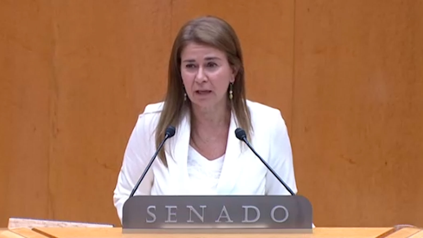 La senadora del PP Teresa Ruiz-Sillero.