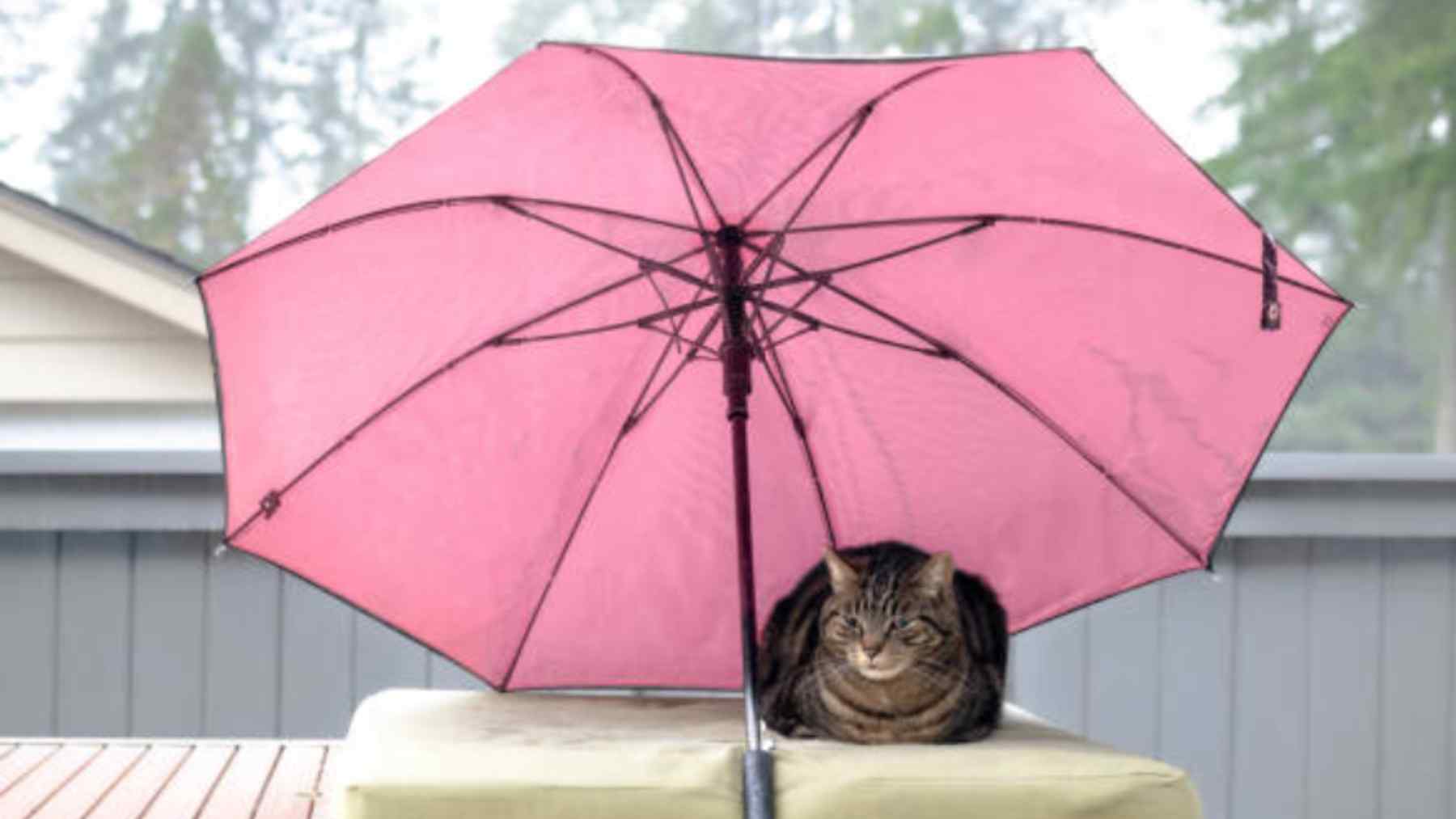 La AEMET advierte del peligro extremo que llega: desplome de las temperaturas y tormentas extremas