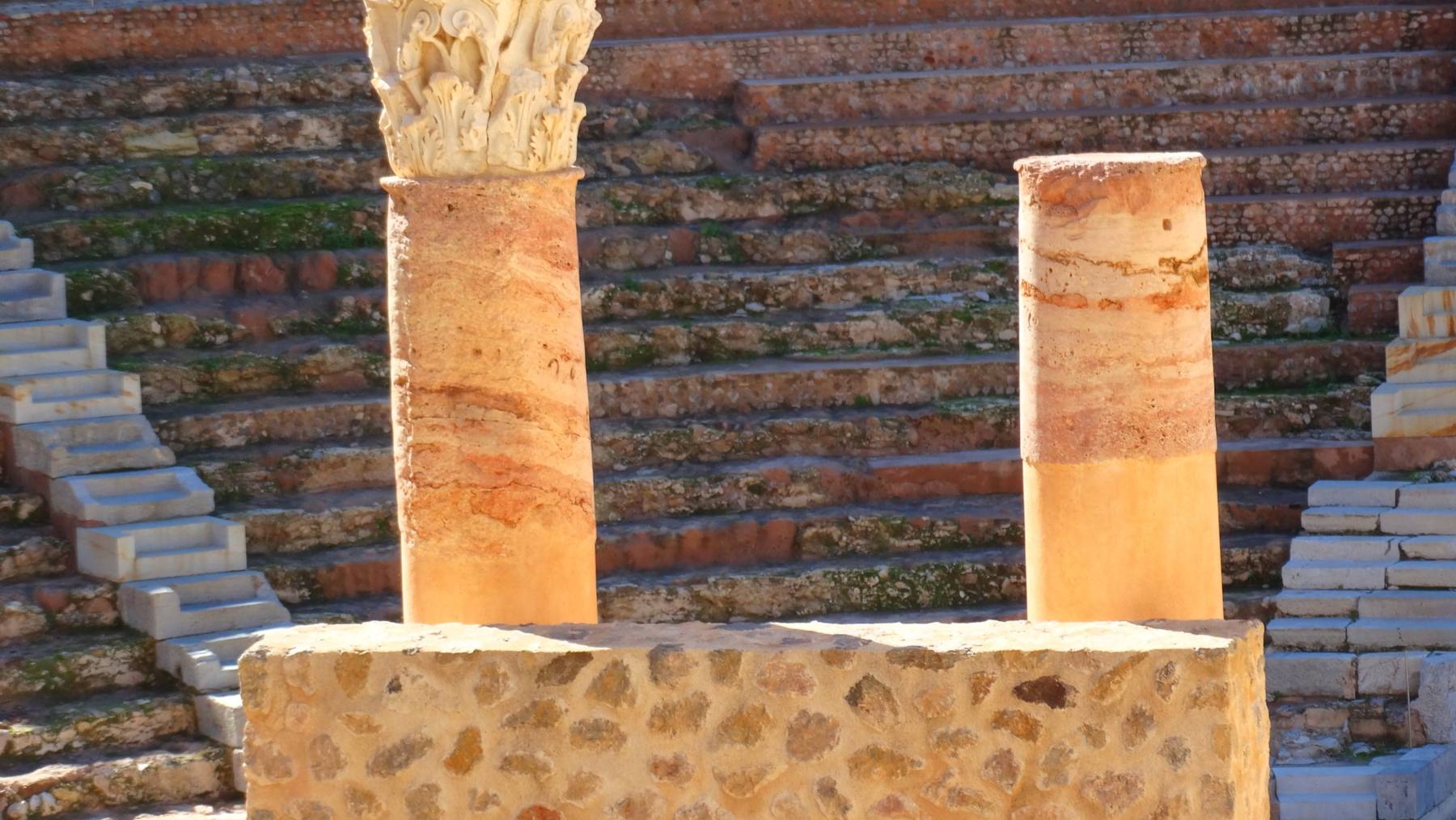 Por qué se plantaba un laurel en la esquina de las casas: el secreto que los constructores vuelven a valorar