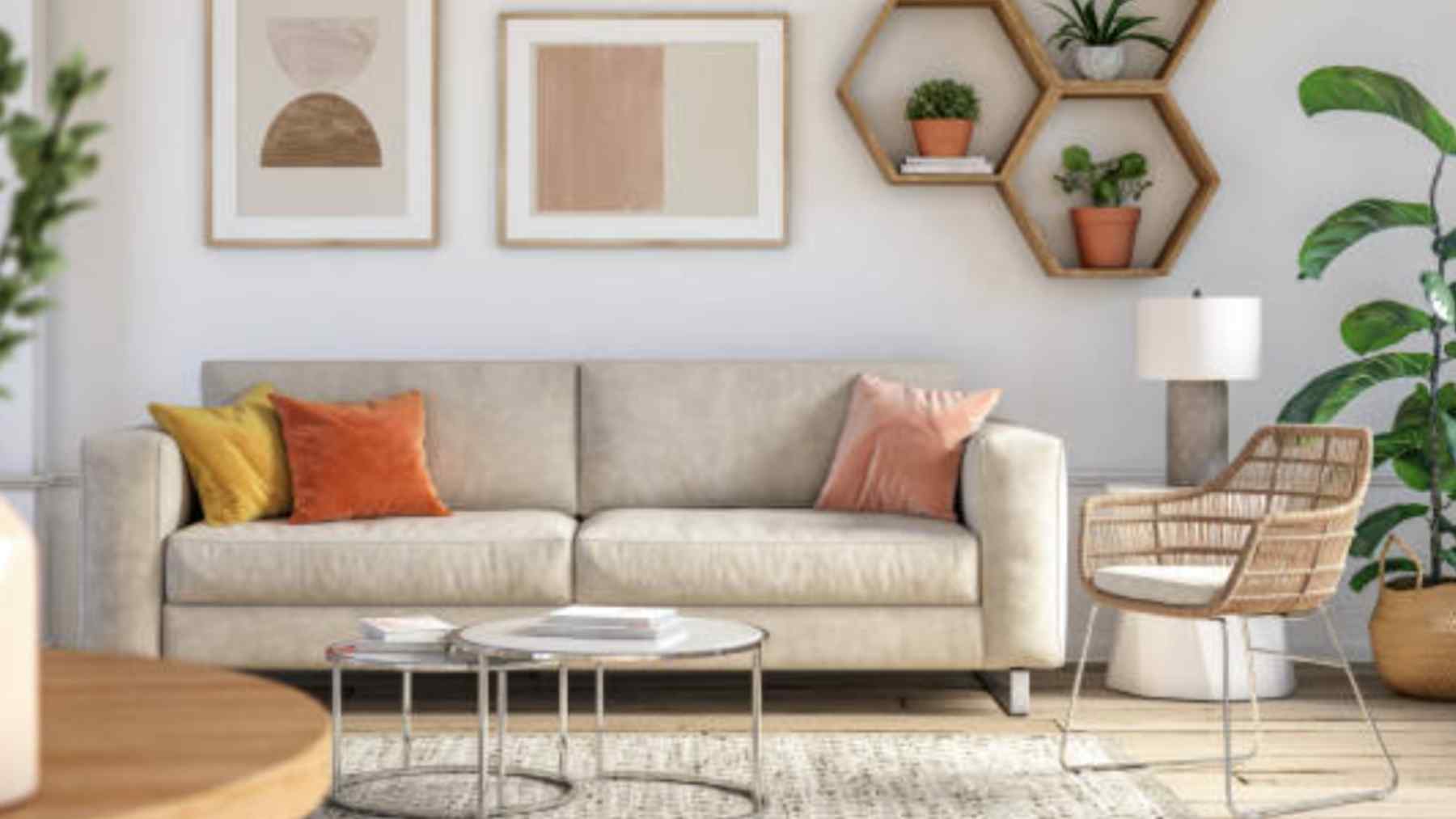 Nunca pongas las plantas en esta parte de tu casa: aseguran que dan mala suerte