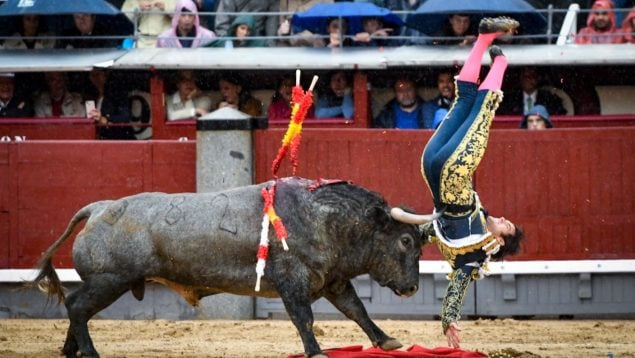 Jorge Garrido sufre una cogida.