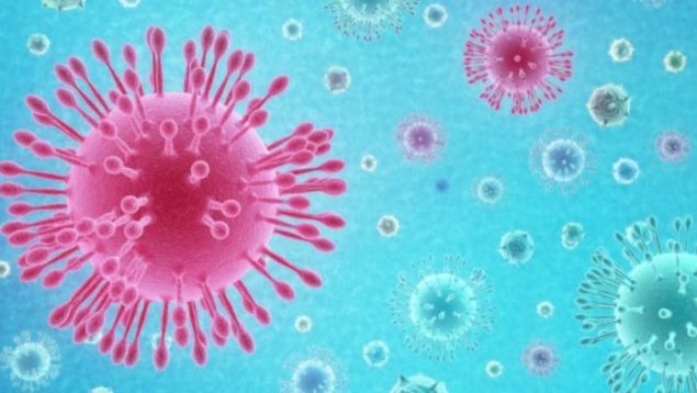 La OMS advierte: hay nueve virus mortales sin vacuna que pueden generar otra pandemia