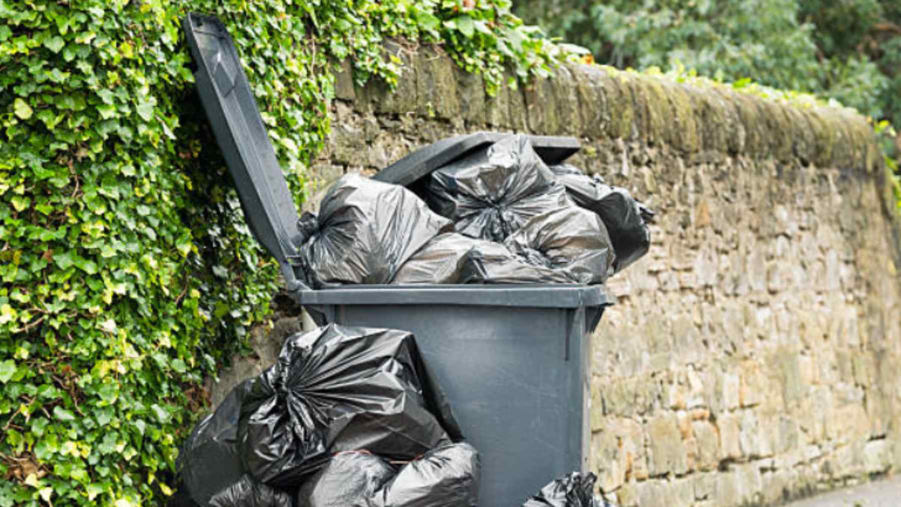 basura calle