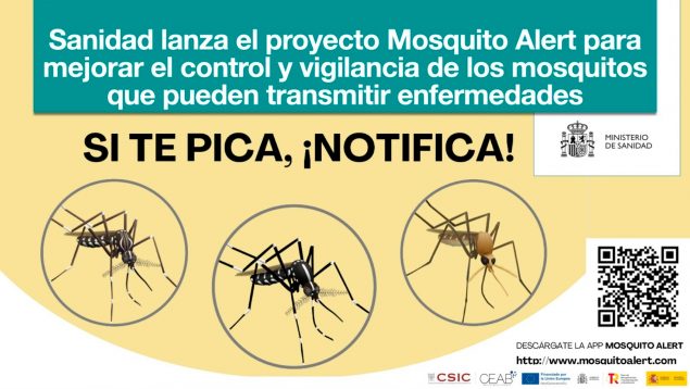 Mosquito Alert