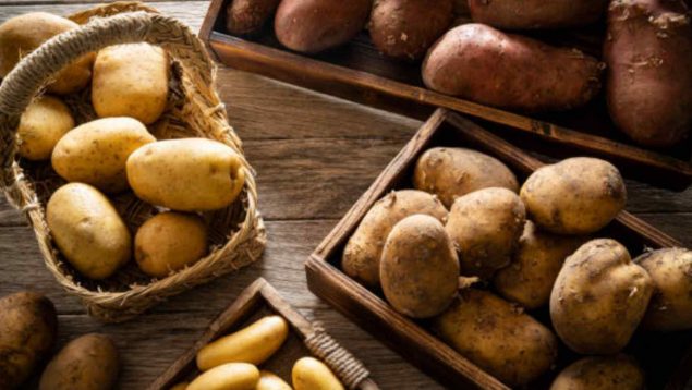 Dramática advertencia de los expertos: no vuelvas a comer patatas si tienen esto