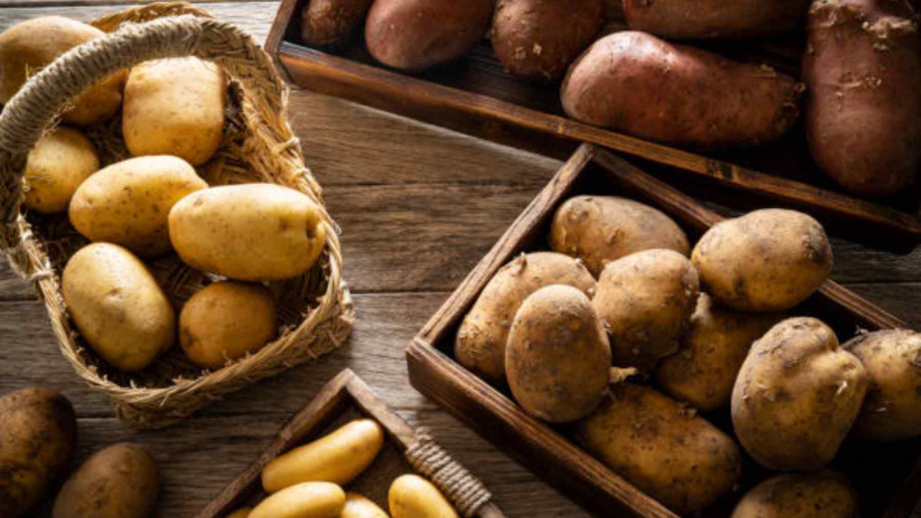 patatas (8)