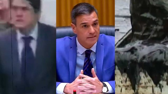 Ver vídeo