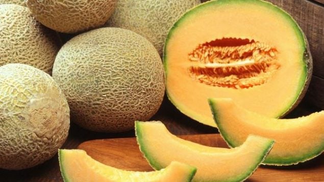 ¿Cómo debemos plantar melones en casa de forma fácil?
