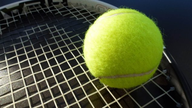 Pelota tenis