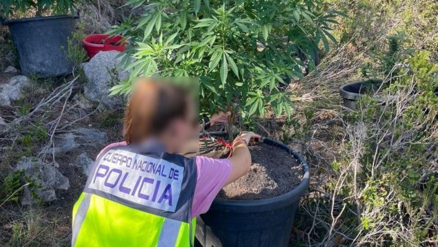 Marihuana en el cementerio de Ibiza.