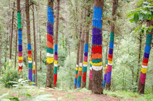 Te sorprenderán las historias: los 6 bosques encantados de España que más mitos ocultan