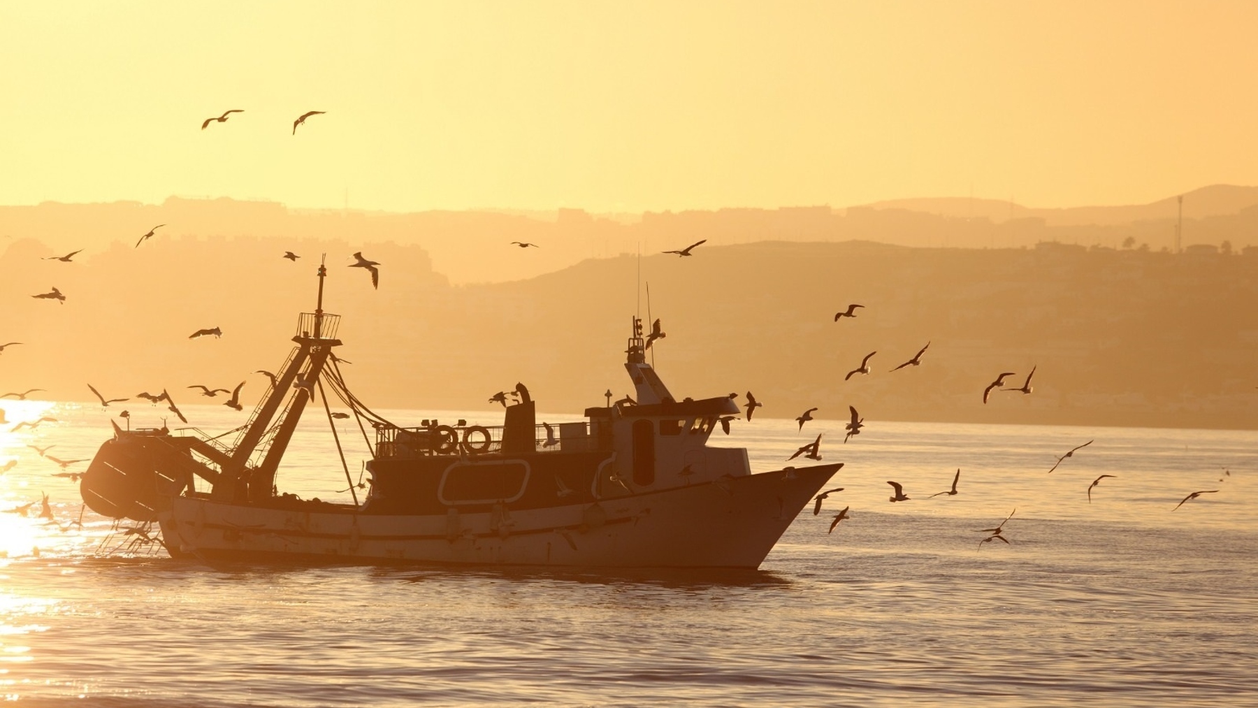 Barco pesquero (JUNTA DE ANDALUCÍA).