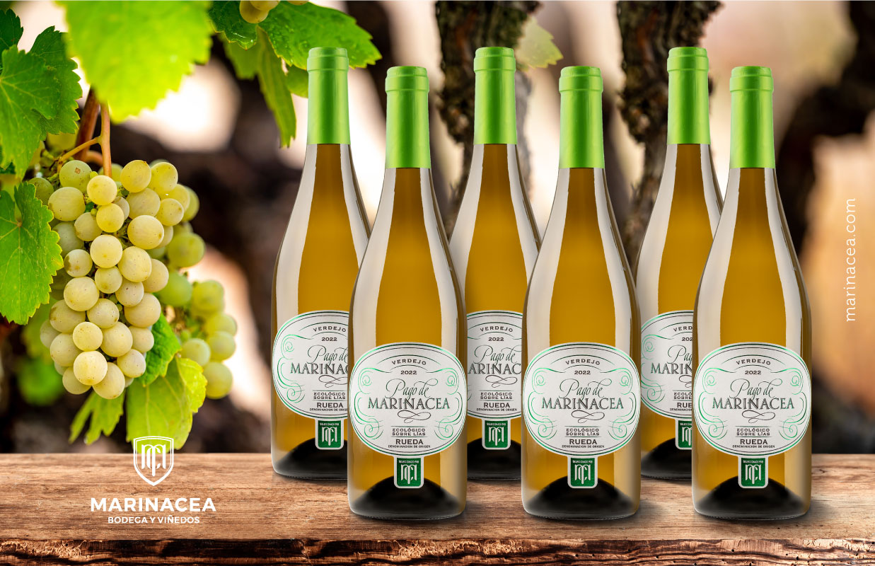 Botellas de vino de Marinacea verdeo