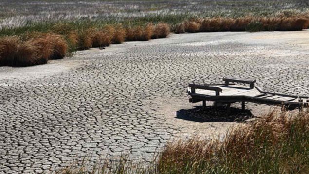 Ola de calor AEMET España