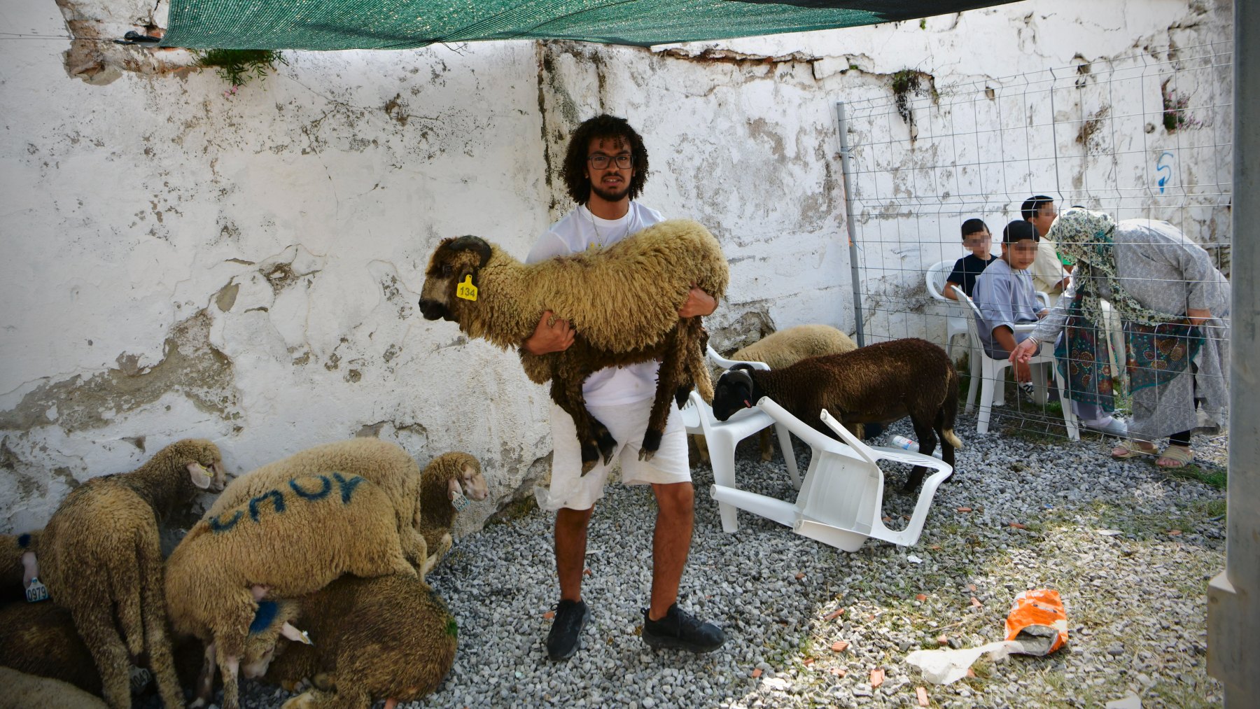 Un hombre con un cordero en Ceuta en la Fiesta del Sacrificio (EUROPA PRESS).