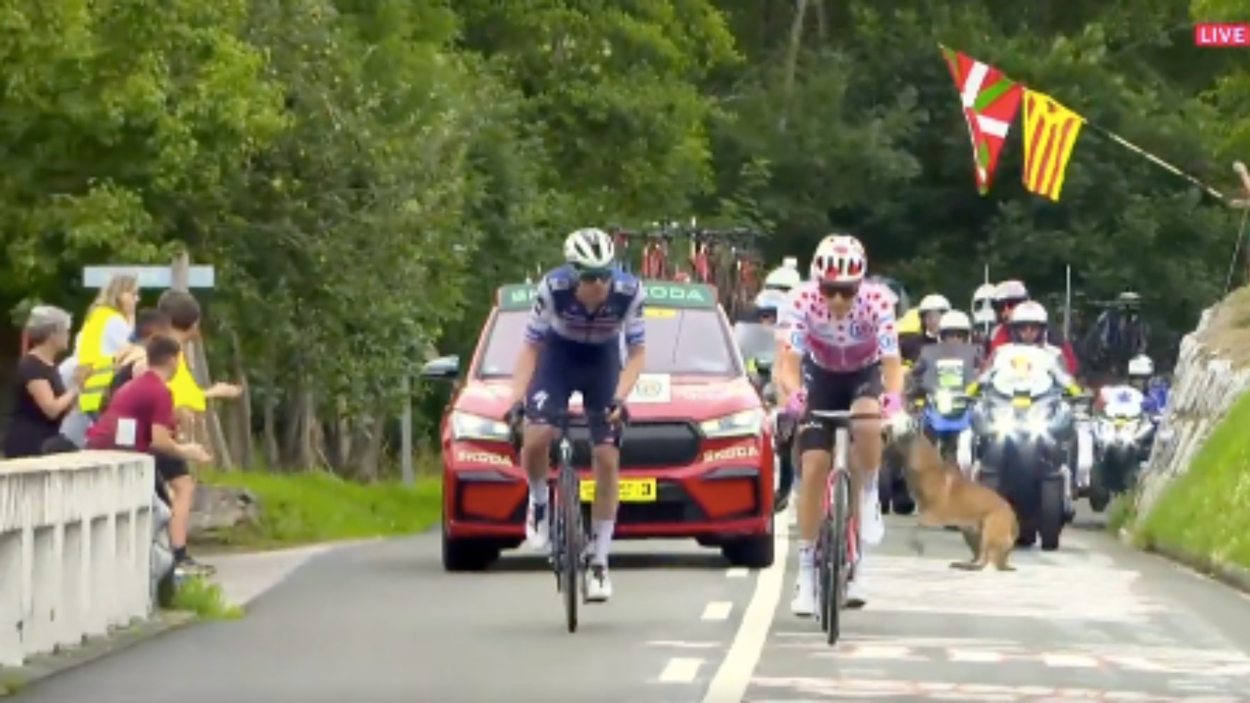 El perro en el Tour de Francia.