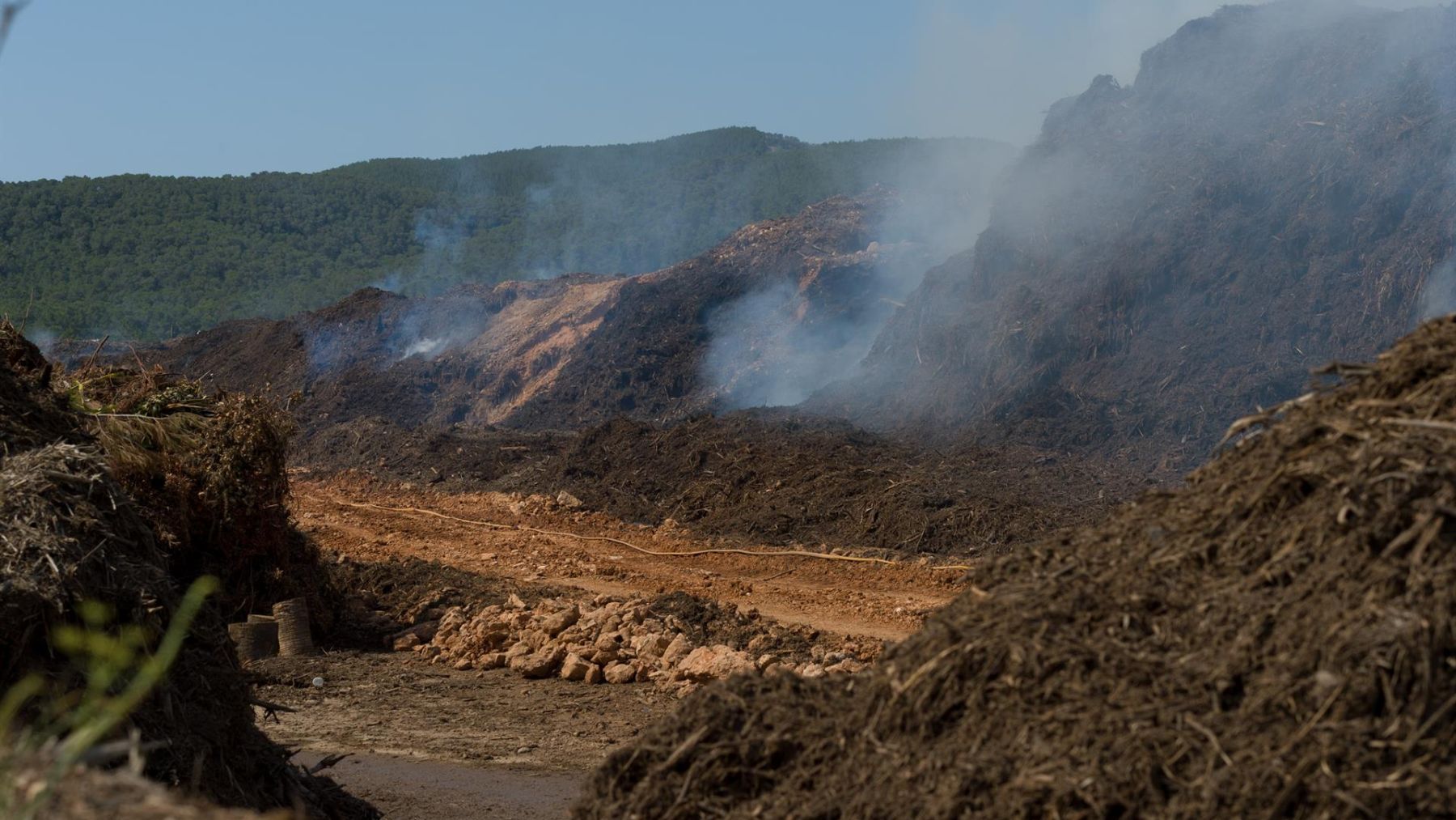 La emisión de humos en la planta de biomasa de Sant Rafael de Ibiza sigue bajando