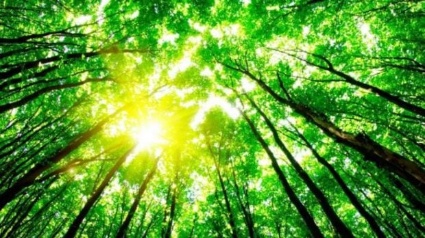 Medio ambiente