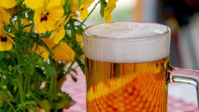 El espeluznate aviso de la OCU: cuidado con tu salud por la cerveza que compras