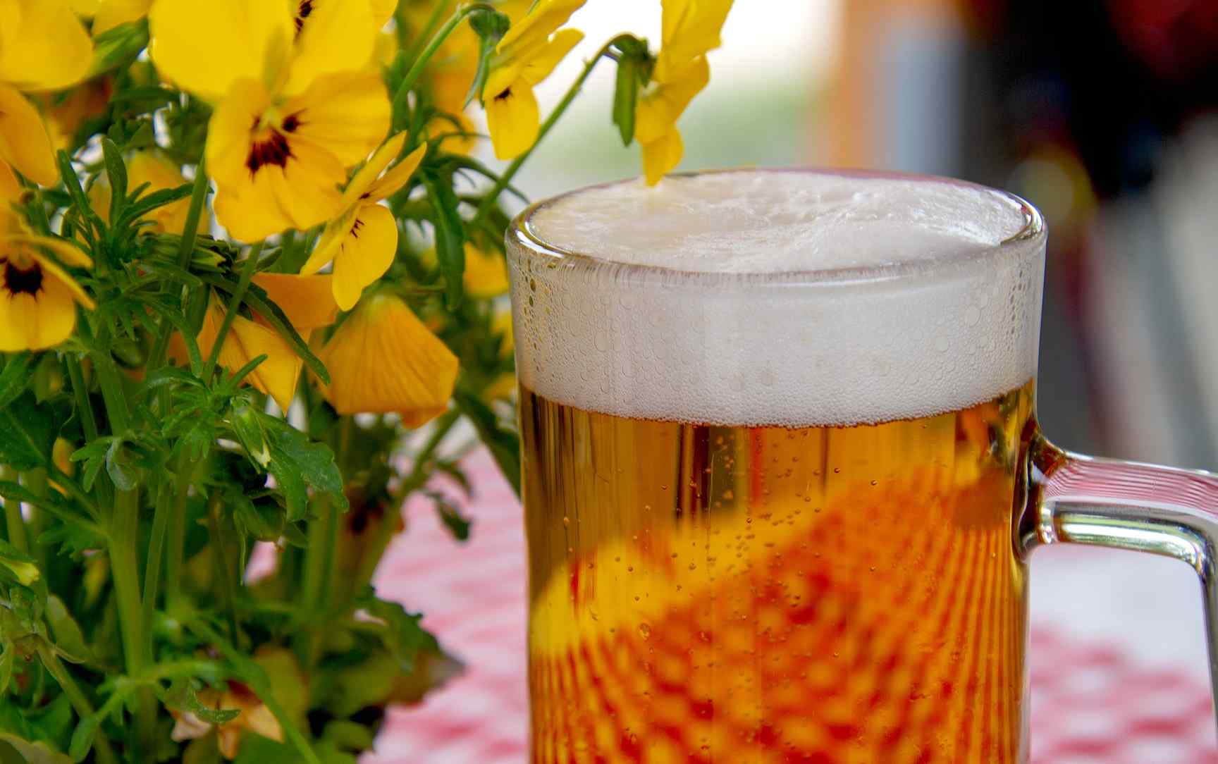 El espeluznate aviso de la OCU: cuidado con tu salud por la cerveza que compras