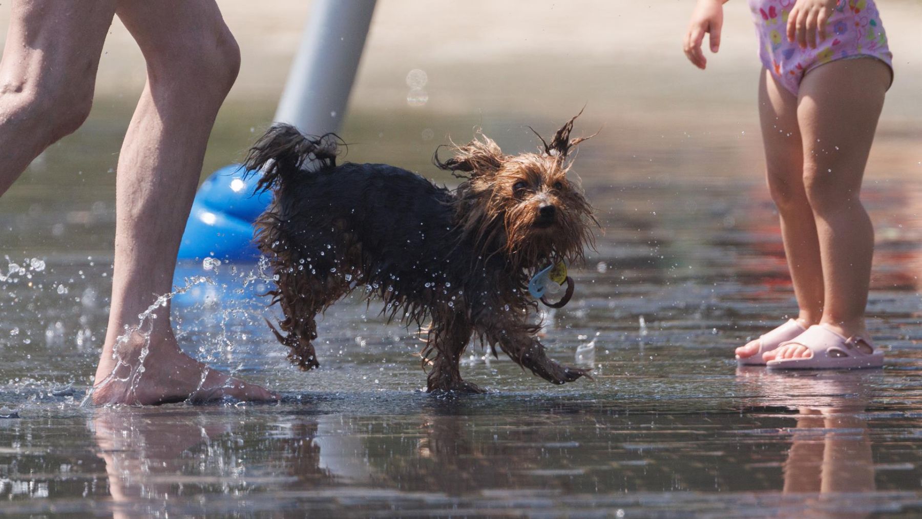 Riesgo por altas temperaturas este domingo en Baleares