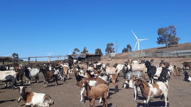 «Las energías renovables se pueden implantar de forma respetuosa con el territorio y sus gentes»