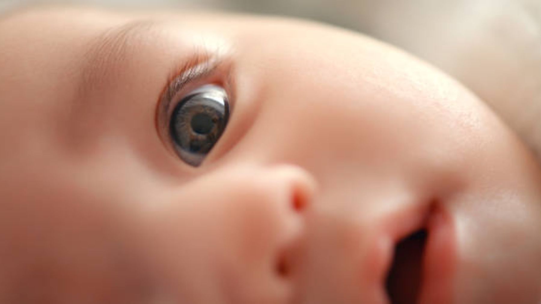 El desarrollo de la visión del bebé antes de nacer