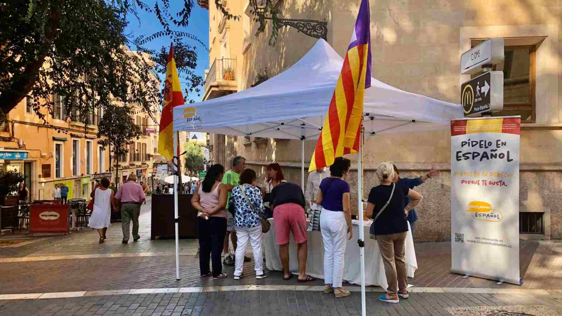 Recogida de firmas de la asociación Hablamos Español en Palma.