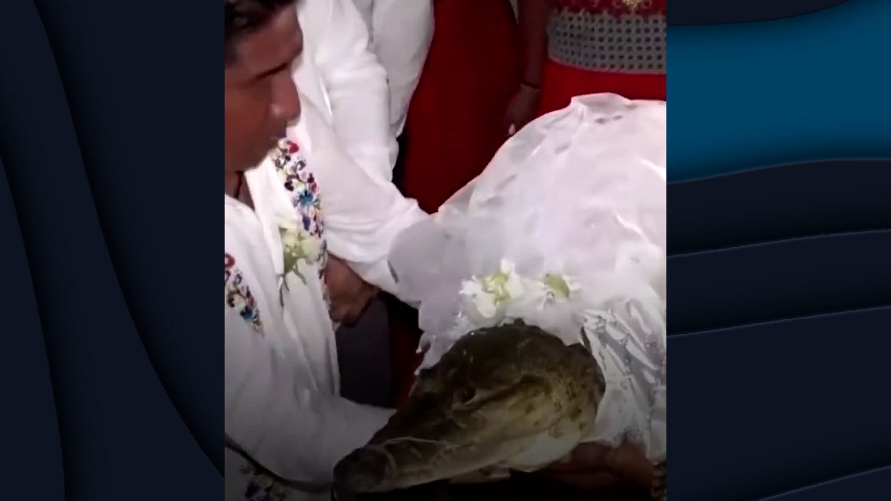 Boda entre el alcalde de San Pedro Huamelula y un cocodrilo
