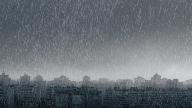 Jorge Rey Mosquitos Lluvias