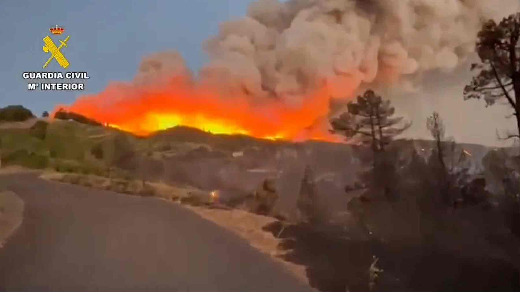 Devastación en La Palma: Un mar de llamas arrasa miles de cultivos de Viña